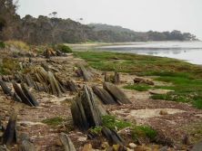 strand auf kangaroo island.jpg
